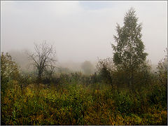 photo "***"