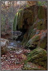photo "***"