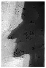 photo "***"