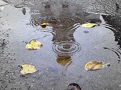 photo "отражение,осеннь,лужа,листья,вода,дождь,церковь,религия"