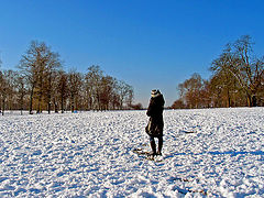 фото "Snow Field"