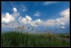 photo "***"