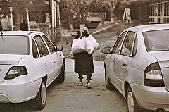 фото "Тяжелая ноша"