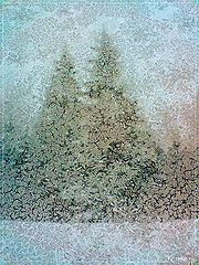 photo "Rime"