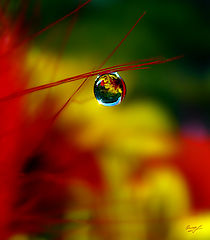 photo "***"