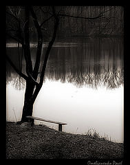 фото "***"