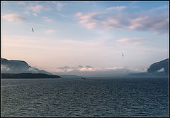 photo "Morning"