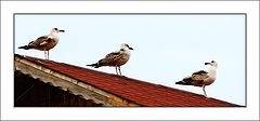 фото "3"
