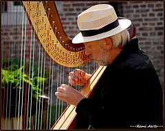 photo "the musician"