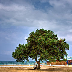 photo "***"