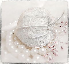 photo "***"