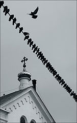photo "***"