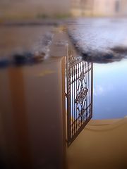 photo "отражение,лужт,осень,природа,вода.архитектура"