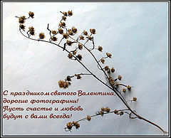 photo "Happy Valentine's!"