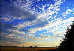 photo "***"