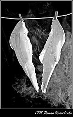 photo "***"
