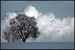 photo "***"