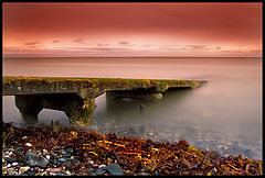 фото "Whitehead"