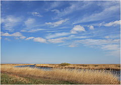 photo "***"