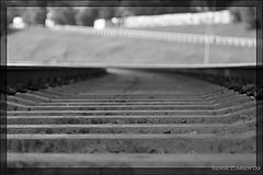 photo "***"