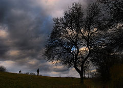 photo "It's time to go back..."