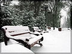 photo "Winter again"