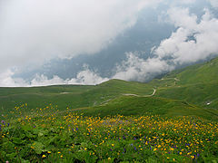 photo "*"