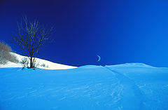 photo "mountain landscape_01"