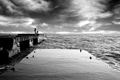 photo "calmness"