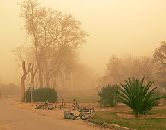 photo "***"