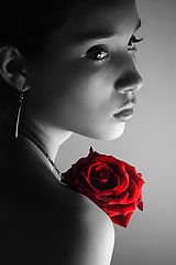 фото "The Red Rose"