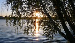 фото "Золотая дорожка"