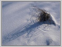photo "***"