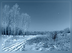 photo "***"