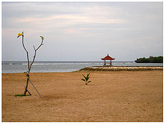 photo "Calm shore"