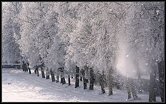 photo "***"