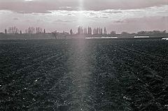 фото "Луч солнца над полем"