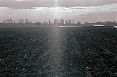 photo "***"