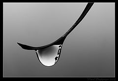 фото "* * *"