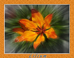 photo "***"