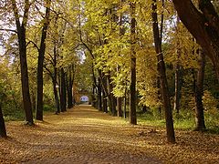 photo "осень,парк,природа,аллея,деревья.листья,дорога"