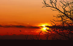 photo "mountain sunset"