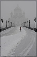 photo "Snow"