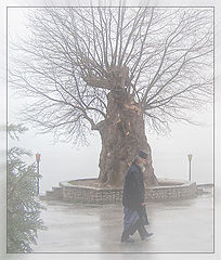 photo "Greek monk"