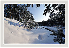 фото "."