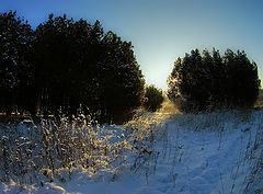 photo "***"