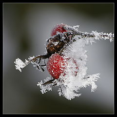 photo "***"