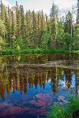 фото "перед водопадом"