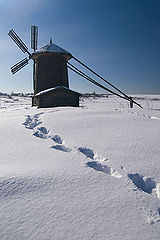 photo "By the Don Quijote's way"