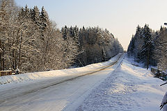 фото "Зимний лес"